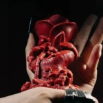Rose-Claw-Red-Candles
