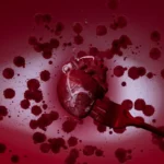 heart shaped red candles
