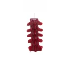 spine bones red candles